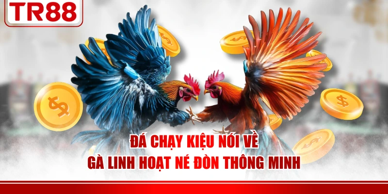 Đá chạy kiệu nói về gà linh hoạt né đòn thông minh